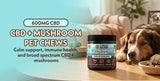 Cypress Hemp Calm and Immunity pet chews jar on table with dog