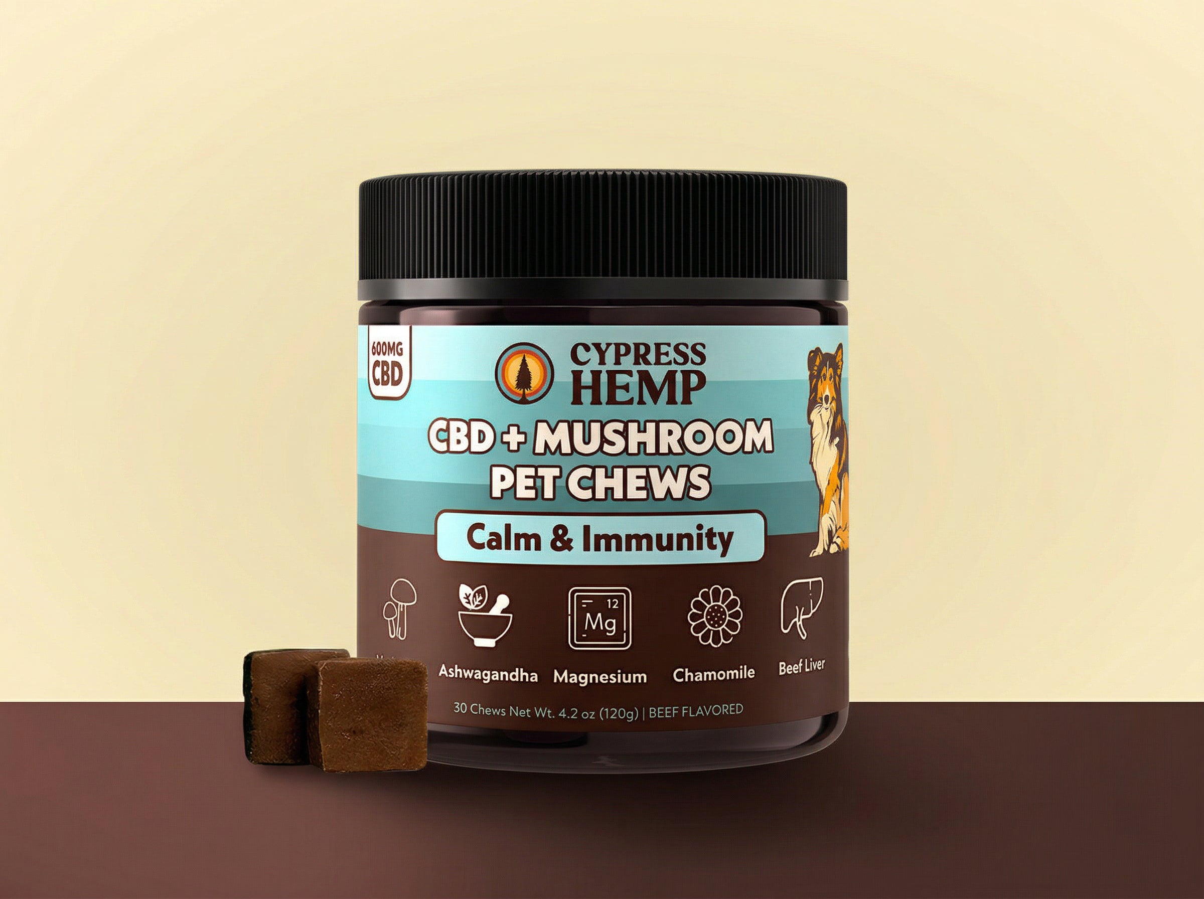 Cypress Hemp CBD Mushroom Pet Chews Calm and Immunity jar front beef flavored 30 count