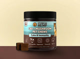 Cypress Hemp CBD Mushroom Pet Chews Calm and Immunity jar front beef flavored 30 count