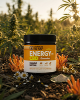 Cypress Hemp Energy Gummies jar in a sunlit hemp field