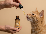Cypress Hemp Pet CBD Oil dropper with orange cat Bacon 450mg