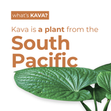 Leilo Sugar-Free Kava Tonic | Non-Alcoholic Social Tonic | 12 fl oz