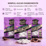 Tillmans Tranquils 2.5mg THC+5mg CBD+5mg CBN Mints | Sleep (10ct)